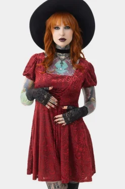 Lepidoptera Skater Dress
